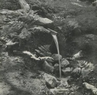 Z tisku: Koncentrační tábor u pramene Vltavy